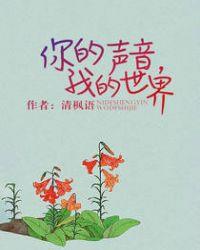 你的声音,我的世界