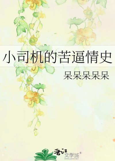 小司机的苦逼情史