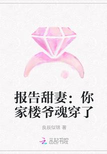 报告甜妻:你家楼爷魂穿了