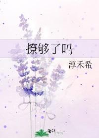 撩够了吗