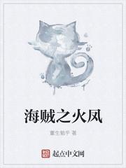 海贼之火凤