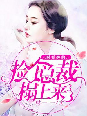 暖婚缠绵，捡个总裁榻上来
