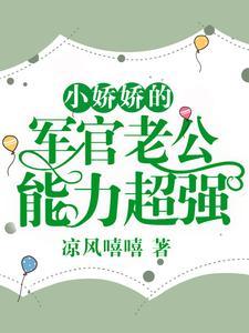 小娇娇的军官老公,能力超强