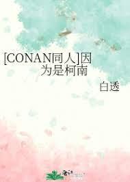 [CONAN同人]因为是柯南