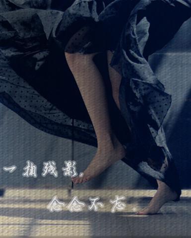 一掬残影,念念不忘。