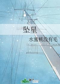 坠星