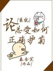论总受如何正确护菊(系统)