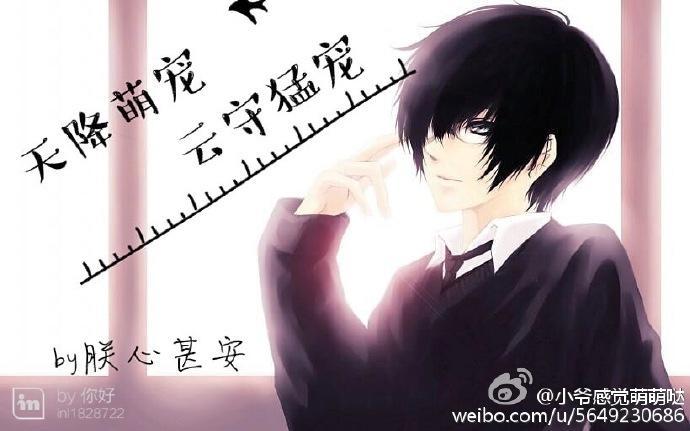 天降萌宠,云守猛宠