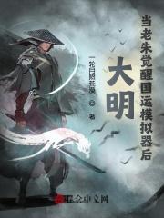 大明:当老朱觉醒国运模拟器后