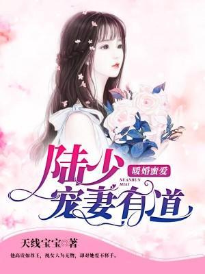 暖婚蜜爱:陆少宠妻有道