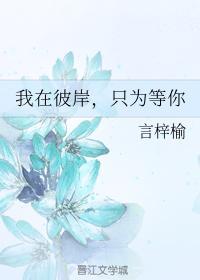 我在彼岸，只为等你