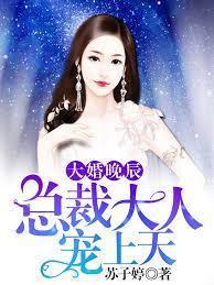 大婚晚辰:总裁大人宠上天