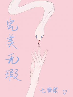 完美无瑕