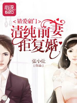 错爱豪门:清纯前妻拒覆婚
