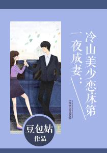 一夜成妻:冷山美少恋床第叶沉鱼秦照琰