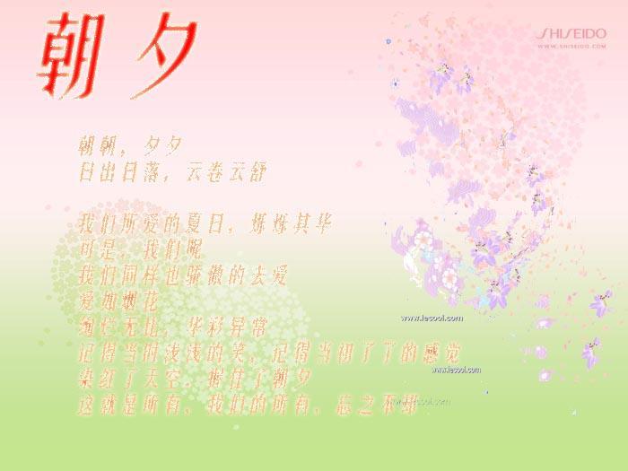 朝夕(网王之凤BG)
