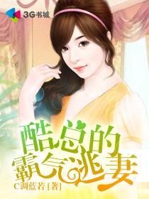 酷总的霸气逃妻