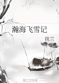 瀚海飞雪记