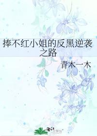 捧不红小姐的反黑逆袭之路