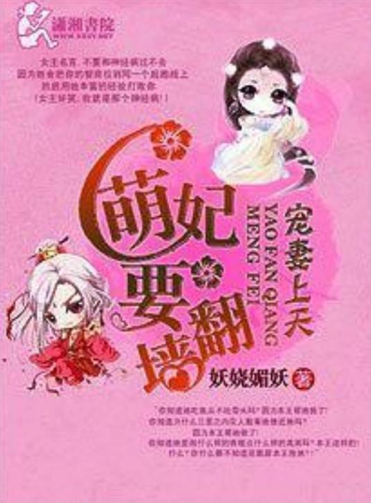 宠妻上天，萌妃要翻墻