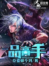 一品高手
