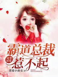 以身试爱,霸道总裁惹不起