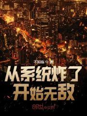 从系统炸了开始无敌