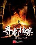 寻龙檔案