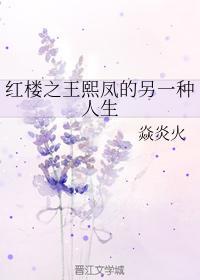 红楼之王熙凤的另一种人生