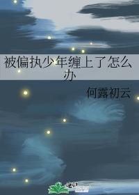 被偏执少年缠上了怎么办
