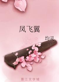 凤飞翼