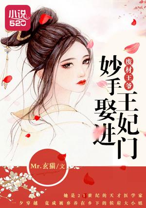 废材王爷:妙手王妃娶进门