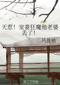 天惹!宠妻狂魔他老婆丢了!