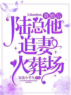 离婚后,陆总他追妻火葬场