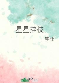 星星挂枝