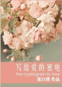 写给爱的密电(军旅)