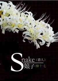 猎人同人——Snake(娘子)