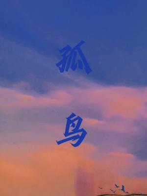 孤鸟