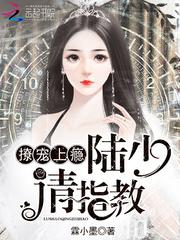 撩宠上瘾:陆少,请指教