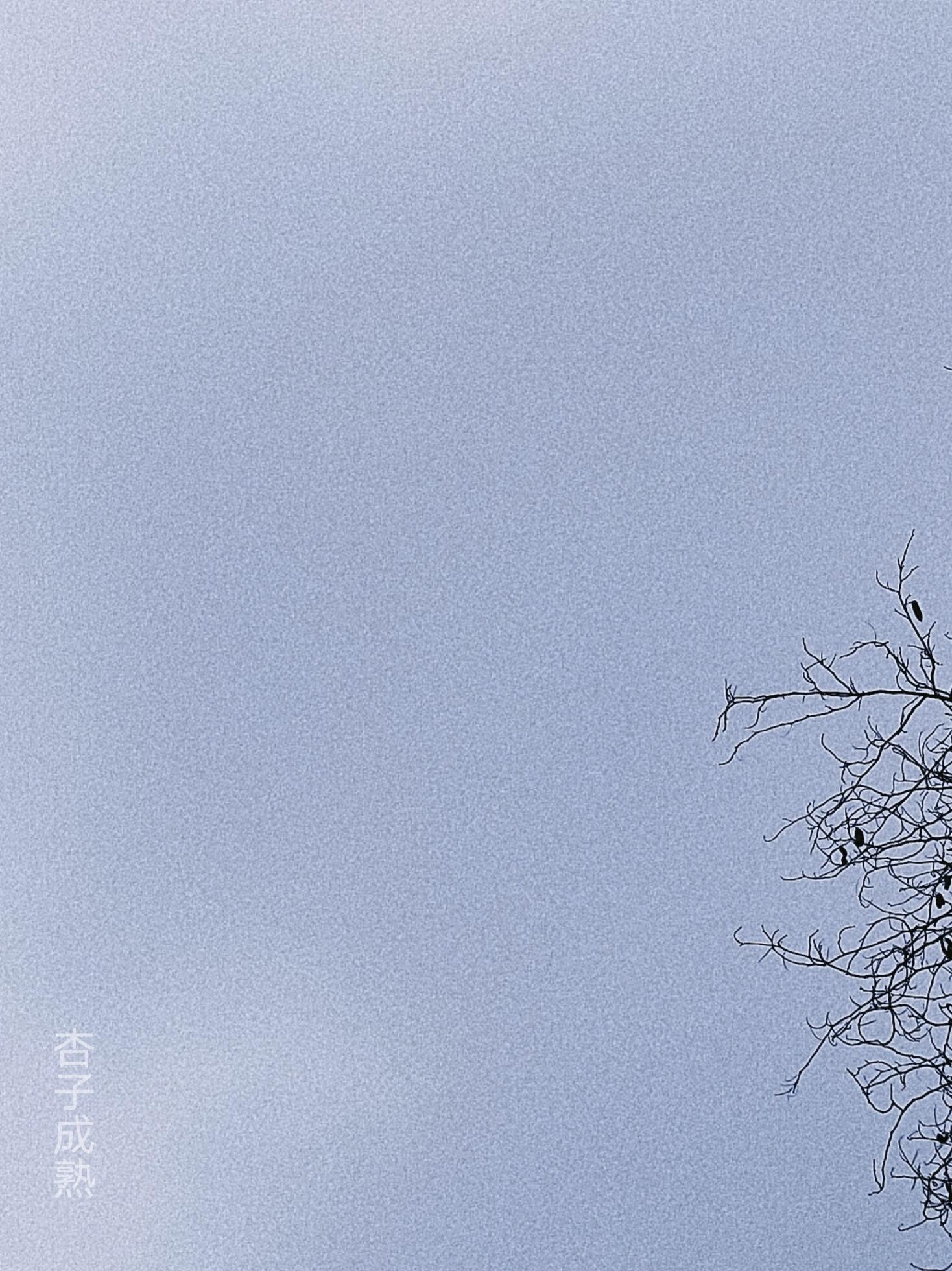杏子成熟