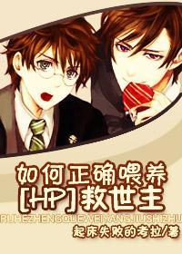 [HP]如何正确餵养救世主