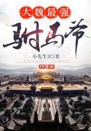 大魏最强驸马