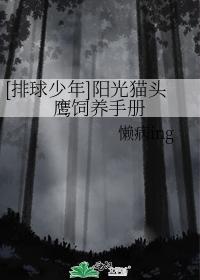 [排球少年同人]阳光猫头鹰饲养手册