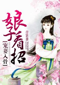 追爱三人行之娘子看招