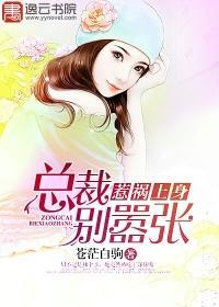 惹祸上身,总裁别嚣张凌乐乐林箫