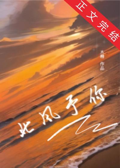 北风予你