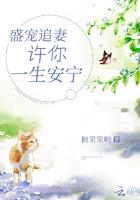 盛宠追妻:许你一生安宁