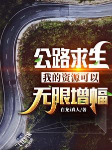 公路求生:我的资源可以无限增幅