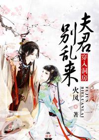 穿入洞房:夫君别乱来