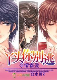 夺爱霸情,丫头你别逃